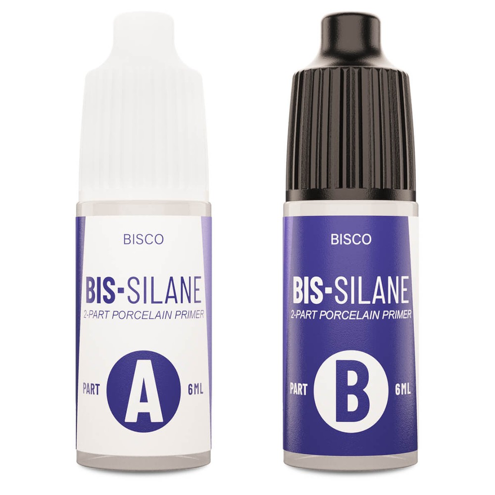 سایلن پرسلن دو جزئی بیس سیلان بیسکو Bisco Bis-Silane Parts A & B