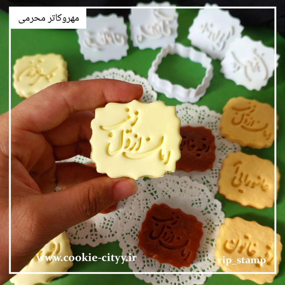 مهر و کاتر محرمی طرح امان از دل زینب