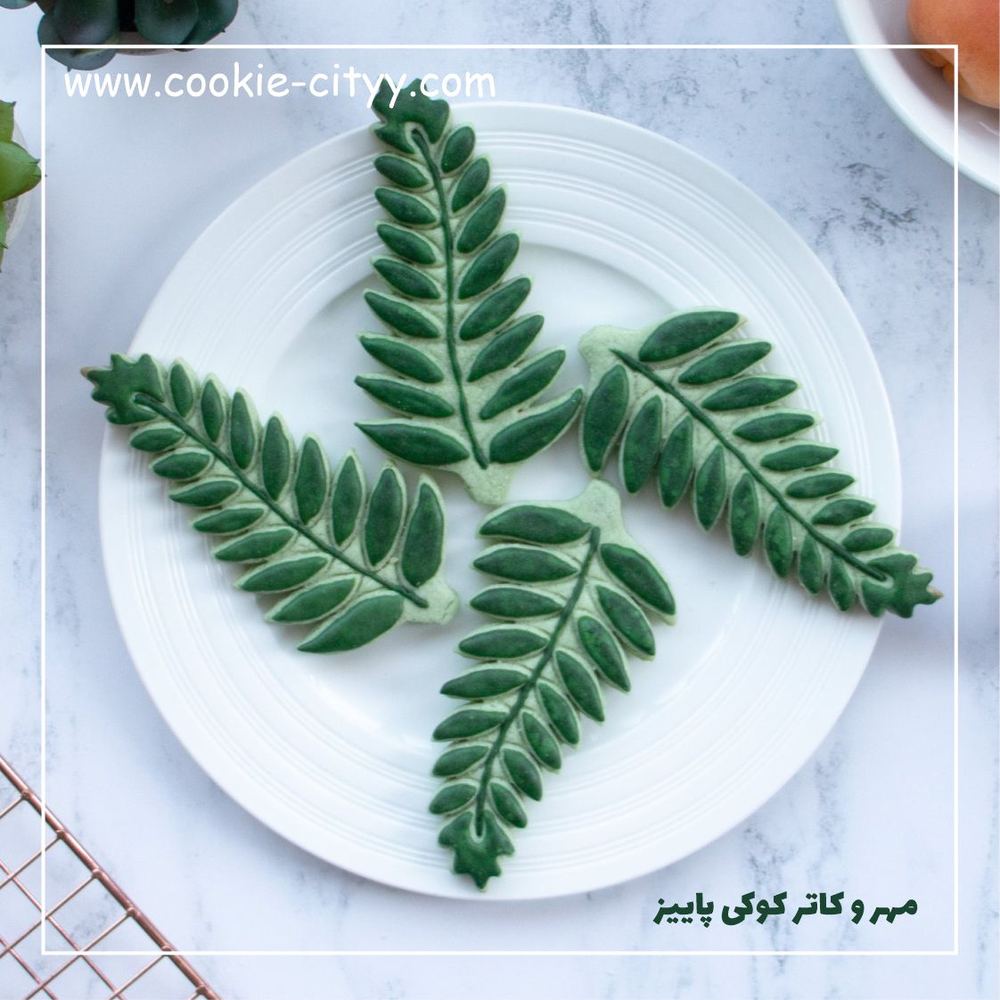 کاتر برگ سرخس
