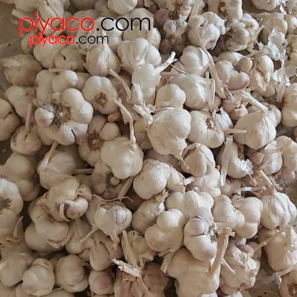 سیر همدان