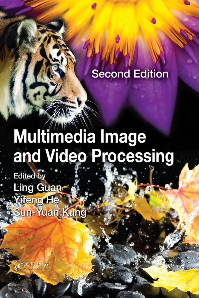 پردازش تصویر و ویدیوی چندرسانه‌ای ۲۰۱۷ <br> Multimedia Image and Video Processing 2017 - کالیبو