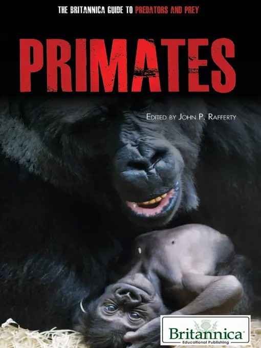 پستانداران نخستین ۲۰۱۰ <br> Primates 2010 - کالیبو