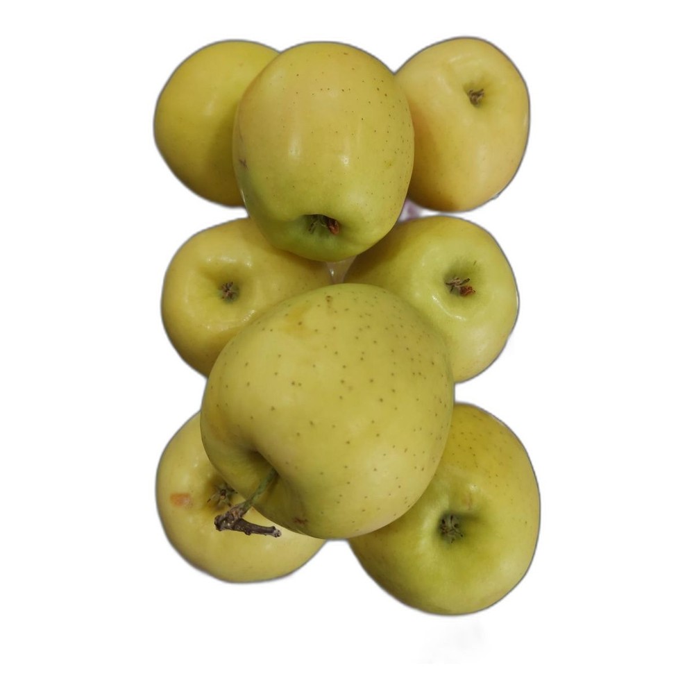 سیب زرد