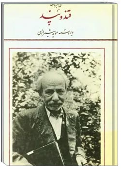 دانلود pdf کتاب قند و پند علی اکبر دهخدا