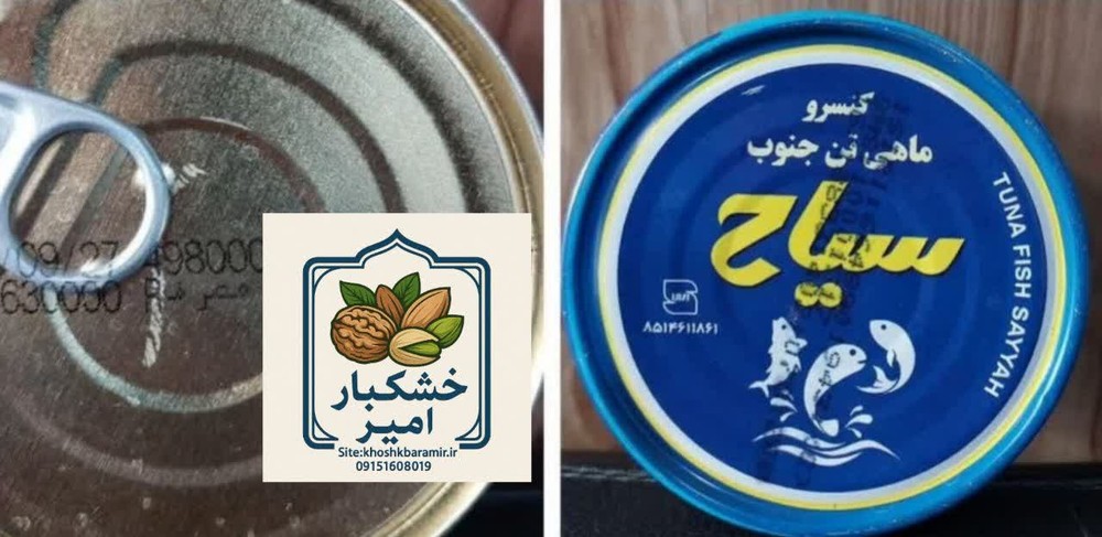 تن ماهی سیاح