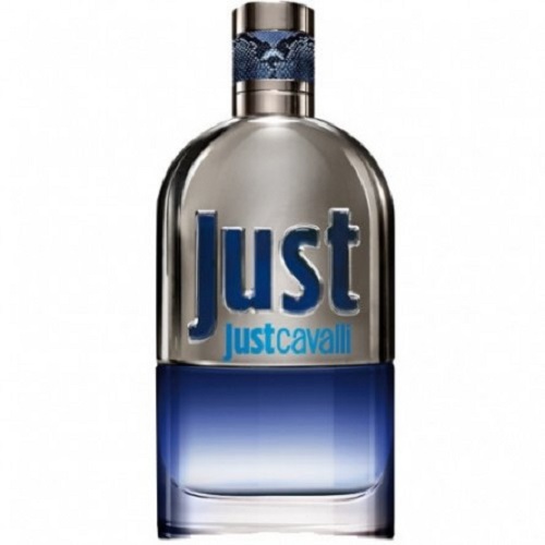 عطر ادکلن روبرتو کاوالی جاست کاوالی مردانه | Roberto Cavalli Just for Men