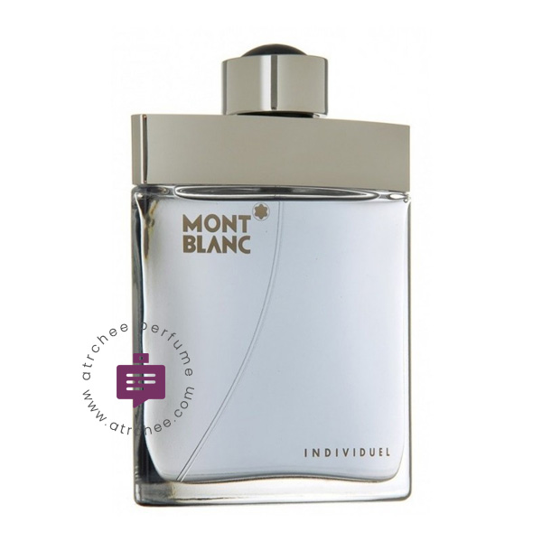 مون بلان ایندیویژوال مردانه – Mont Blanc Individuel Man