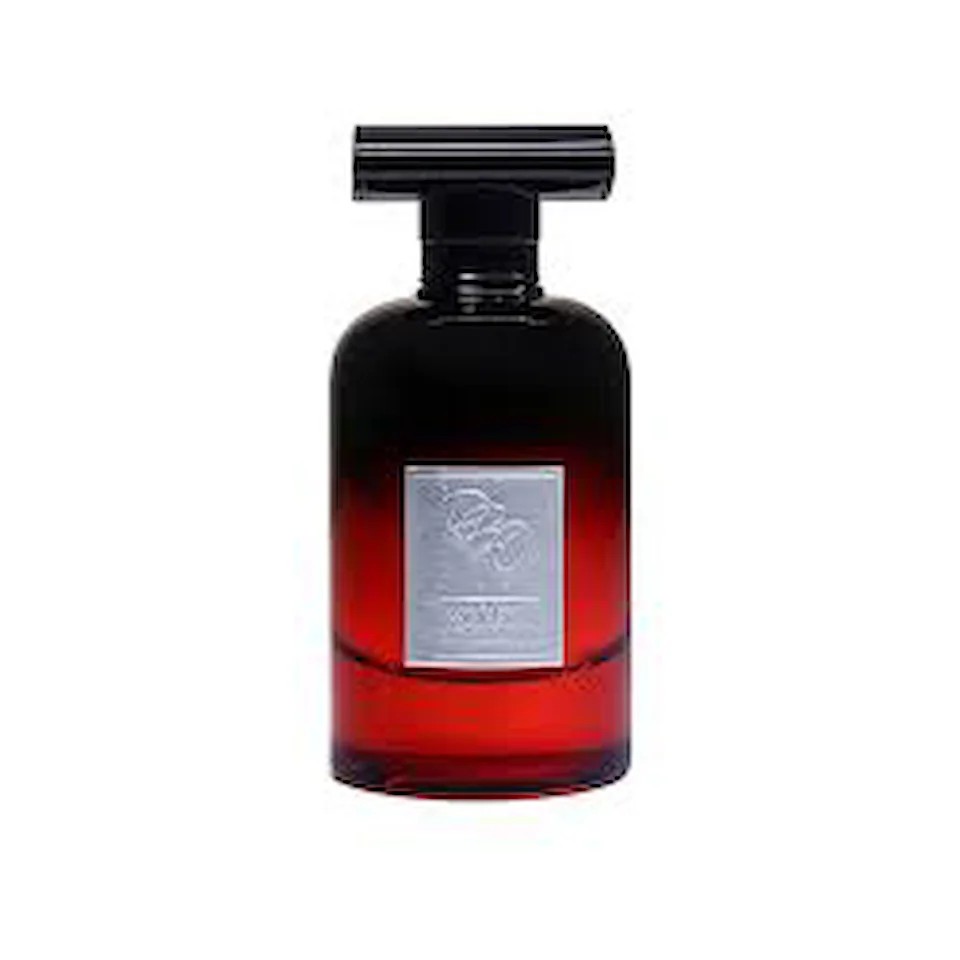 ادکلن RBC CONFIDENT FOR HIM EDP 100 ML