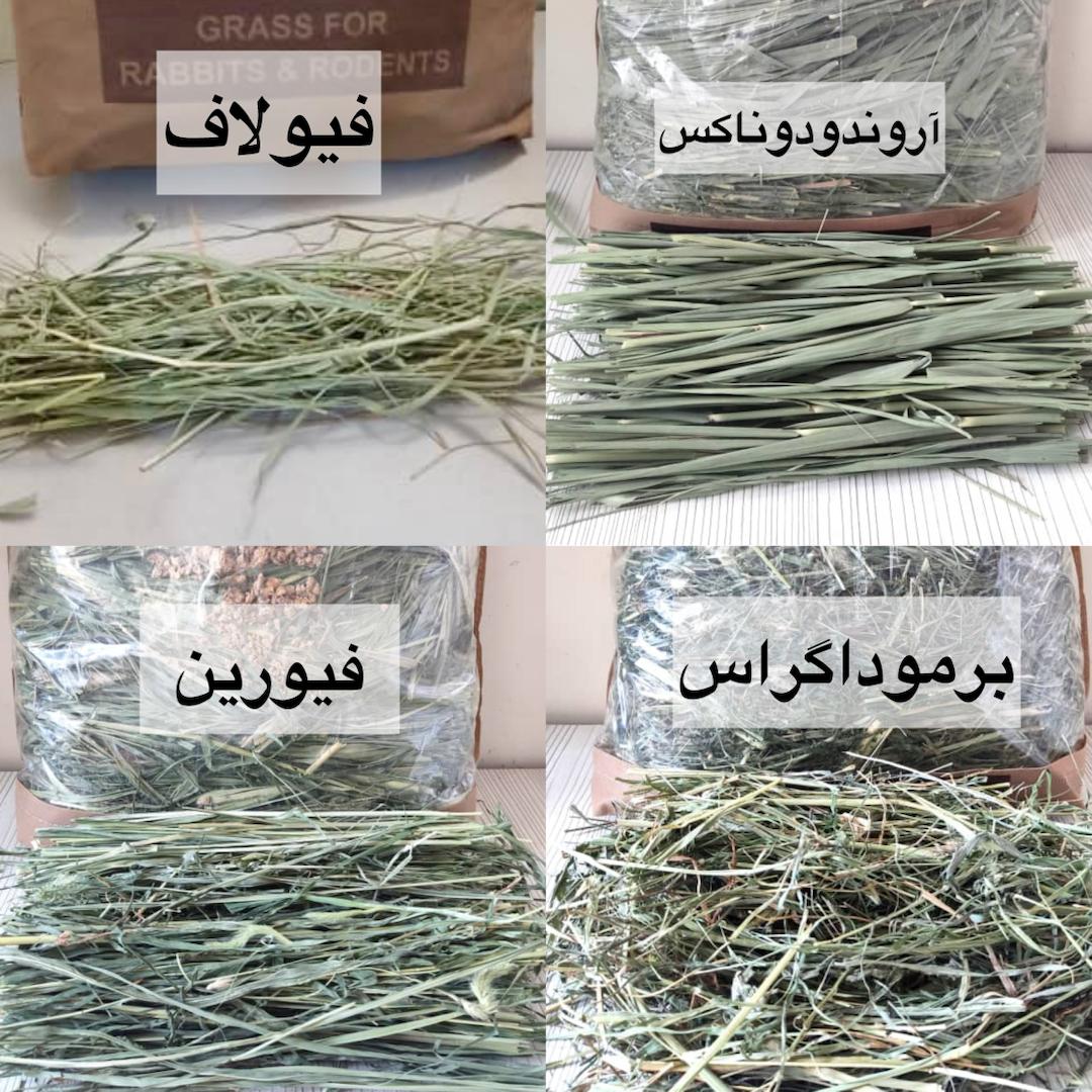 تستر علوفه