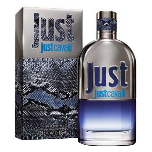 عطر روبرتو کاوالی جاست کاوالی مردانه | roberto cavalli / Just cavalli HIM 90ML EDT