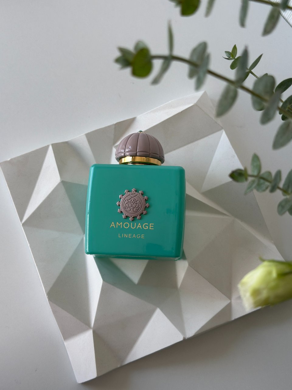 ادکلن مستر کوالیتی AMOUAGE Lineage حجم 100 میل