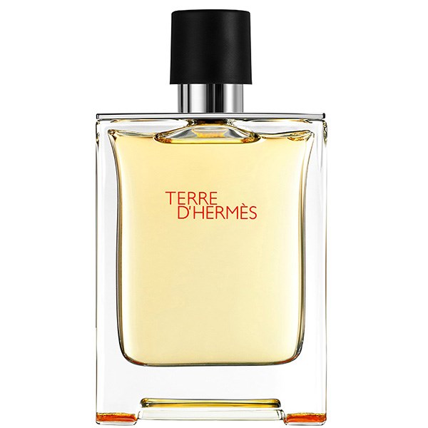 TERRE D.HERMES TOILETTE TESTER 100ML