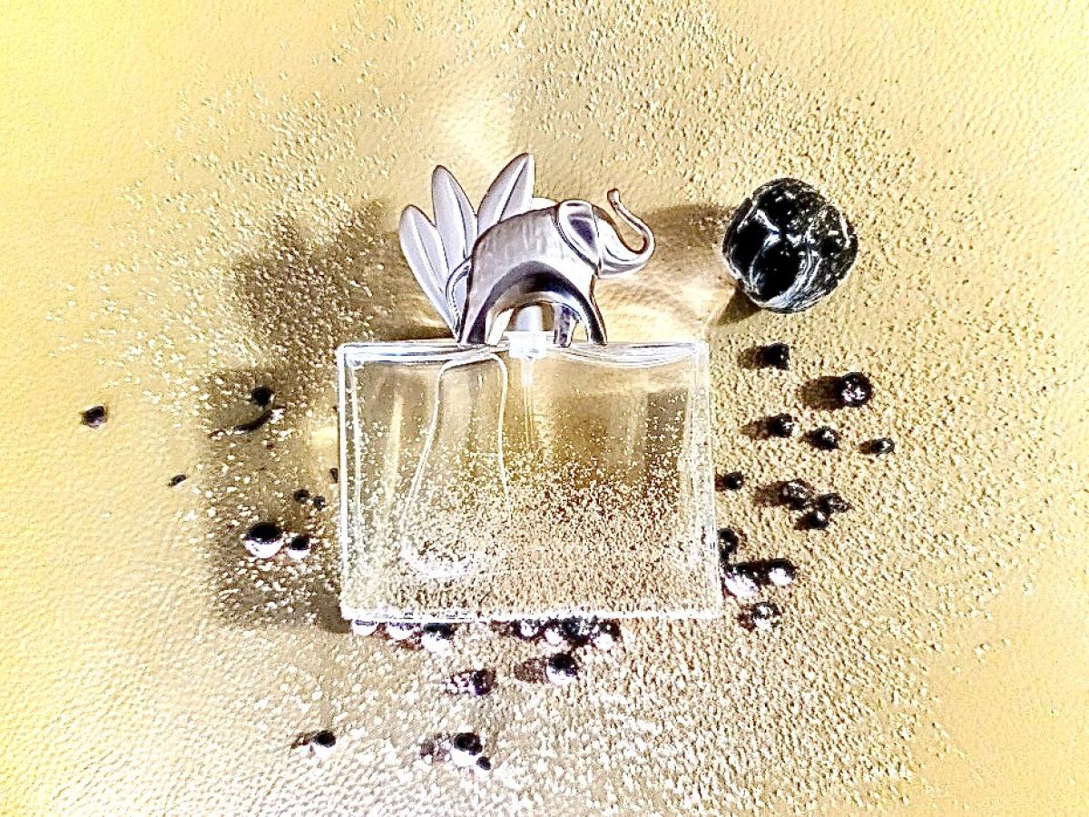 عطر ادکلن کنزو جانگل زنانه اصل | kenzo Jungle for Women EDP 100ml