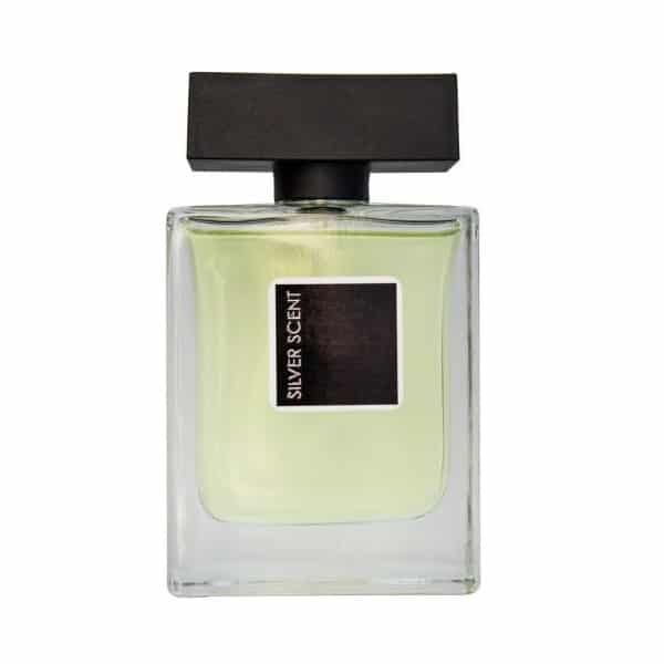 ادکلن 100 میل SILVER SCENT MAN پرستیژ