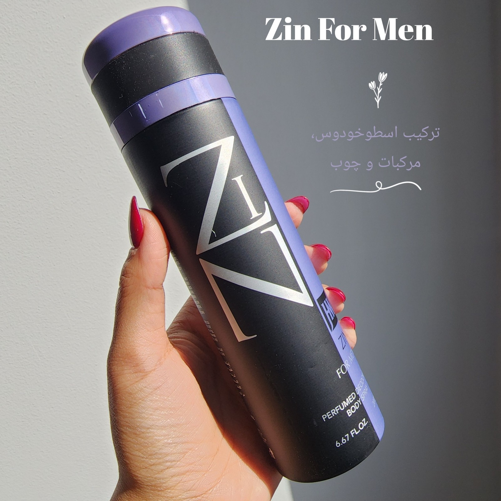 اسپری Zin For Men