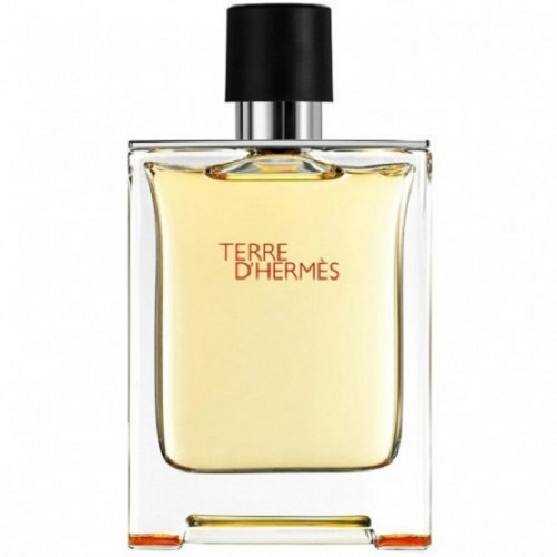 عطر ادکلن هرمس تق دی هرمس ادو تویلت | Hermes Terre d’Hermes EDT