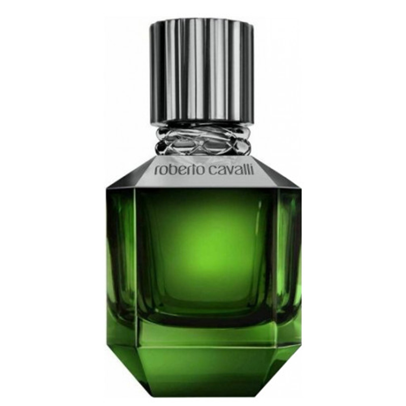 عطر ادکلن روبرتو کاوالی پاردایس فاوند مردانه Roberto Cavalli Paradise Found For men
