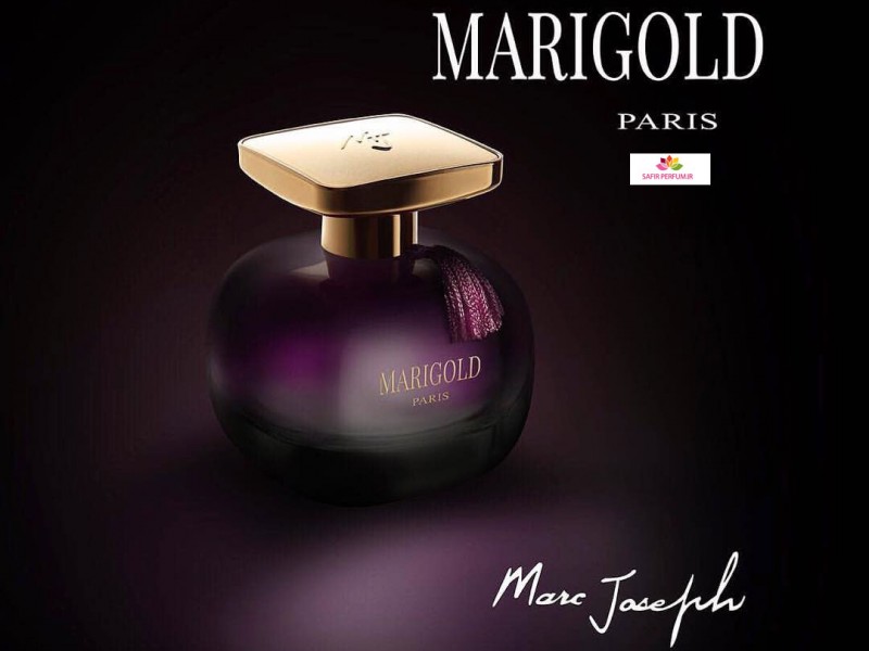 عطر و ادکلن زنانه مری گلد برند مارک جوزف ( MARC JOSEPH - MARIGOLD )