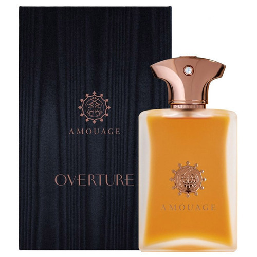 عطر ادکلن آمواج اورتور مردانه | AMOUAGE / AMOUAGE OVERTURE MAN 100ML EDP