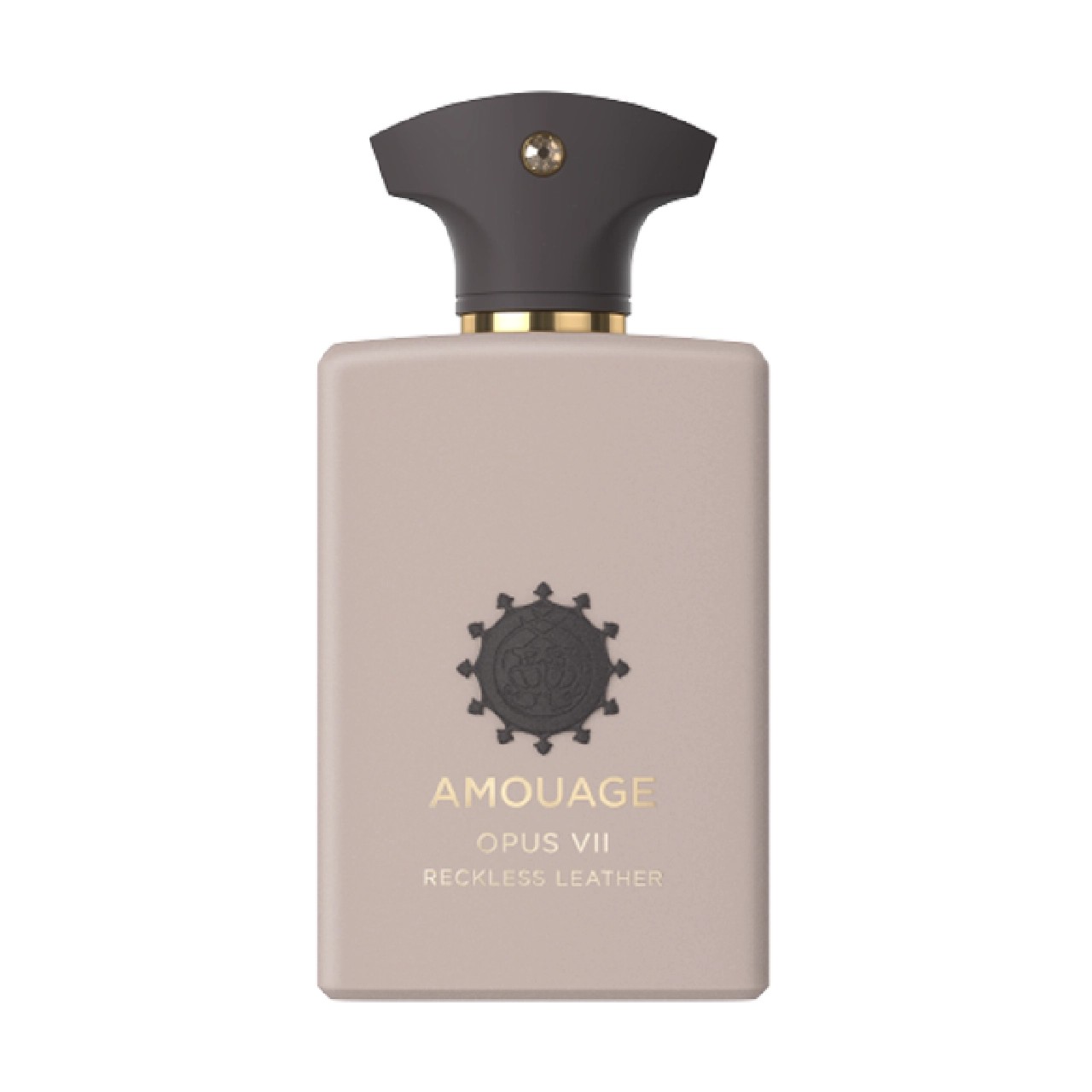 عطر آمواج اپوس هفتم رکلس لدر | Amouage Opus VII Reckless Leather