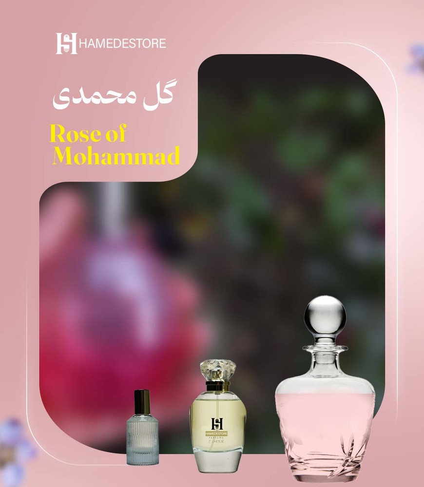 عطر گل محمدی اصل