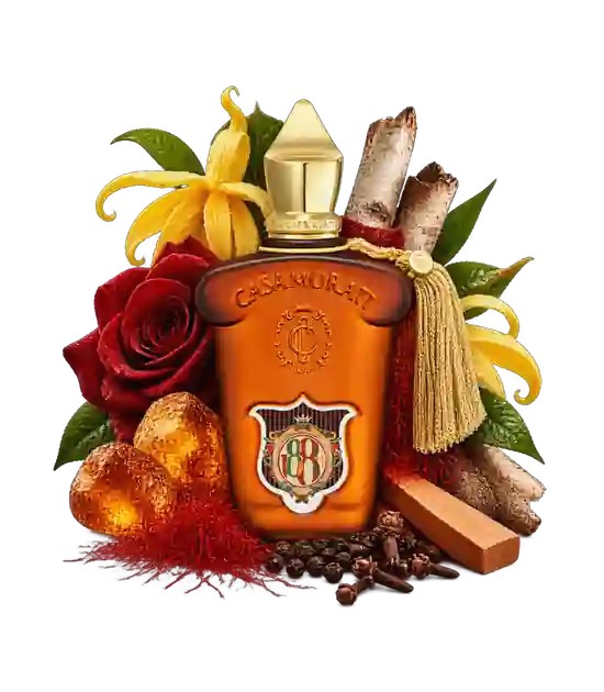 عطر کازاموراتی 1888 | Xerjoff Casamorati 1888