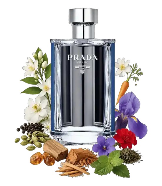 عطر پرادا الهم | Prada L’Homme