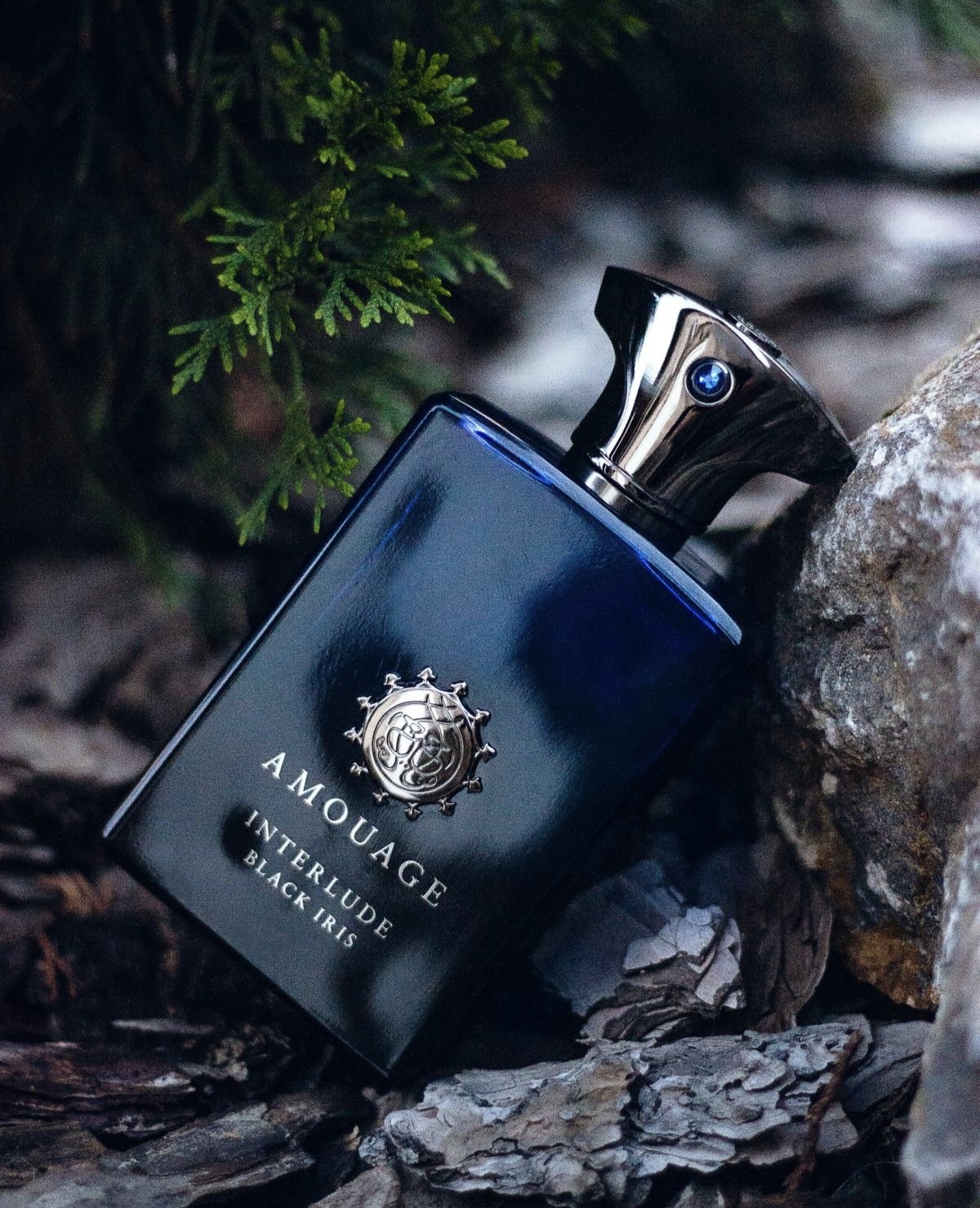 عطر ادکلن آمواج اینترلود بلک ایریس مردانه اصل | Amouage Interlude Black Iris Man 100 ml