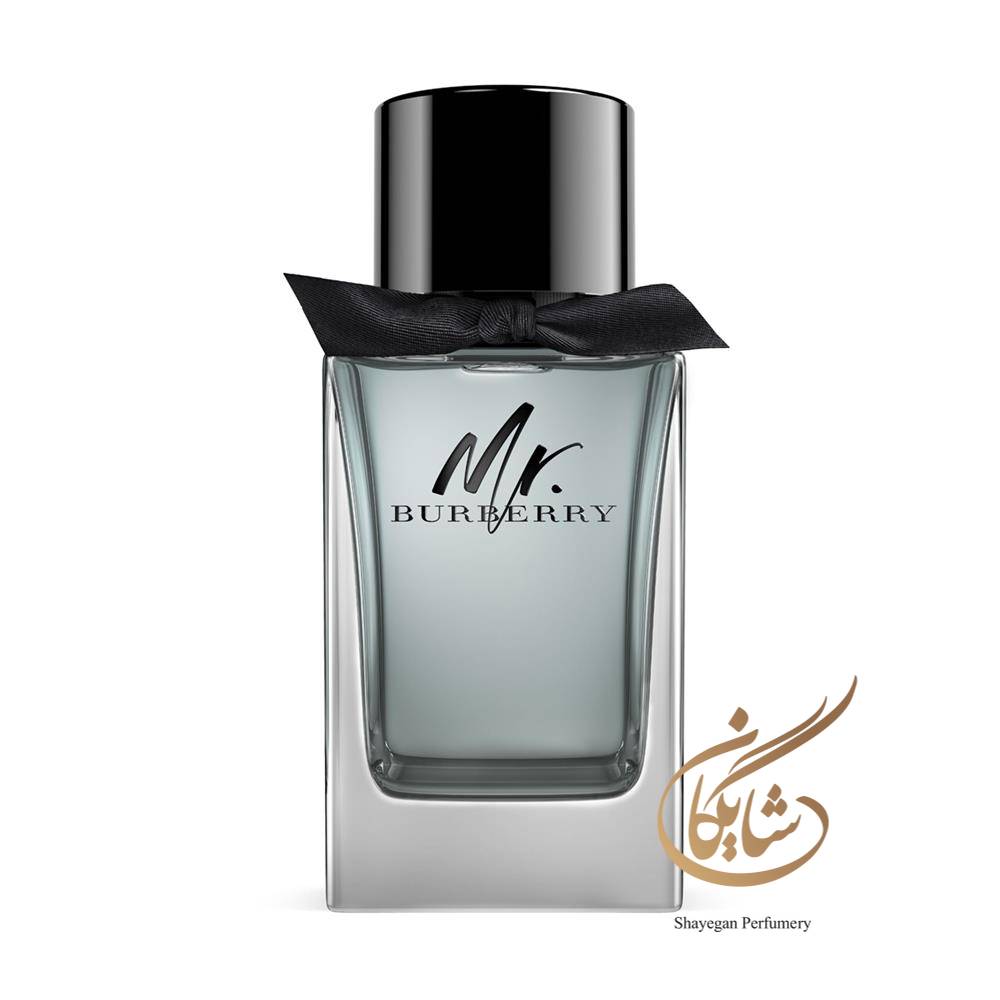 ادوتویلت مردانه باربری مستر باربری _ Burberry Mr. Burberry