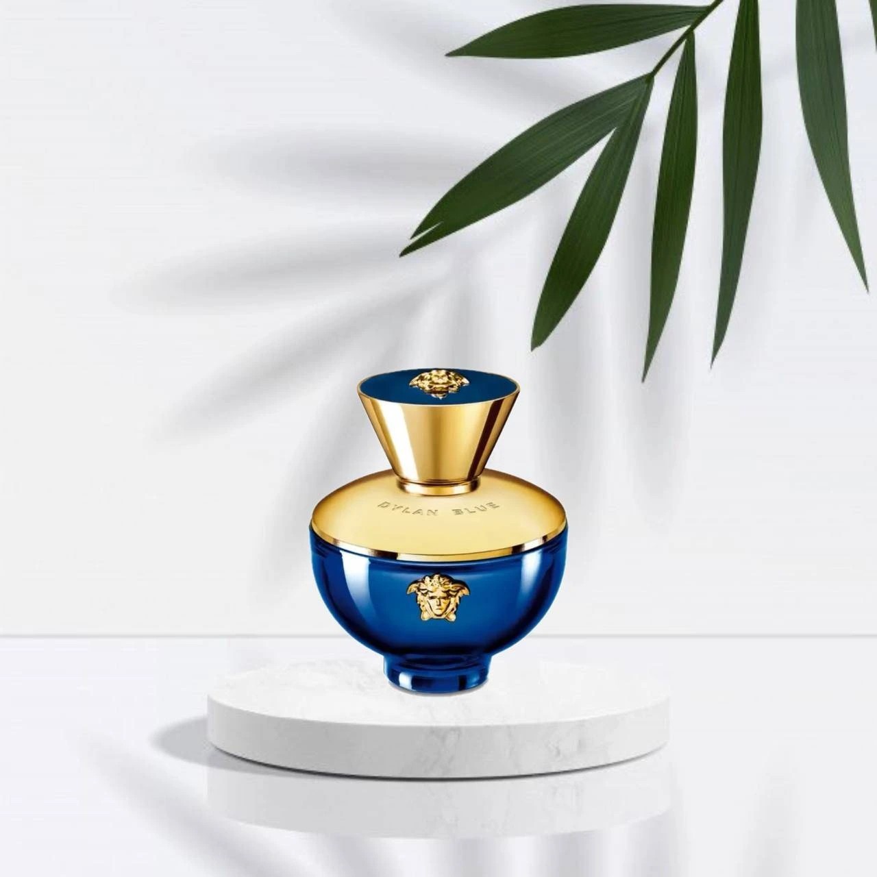 عطر ورساچه دیلان بلو | Versace Dylan Blue