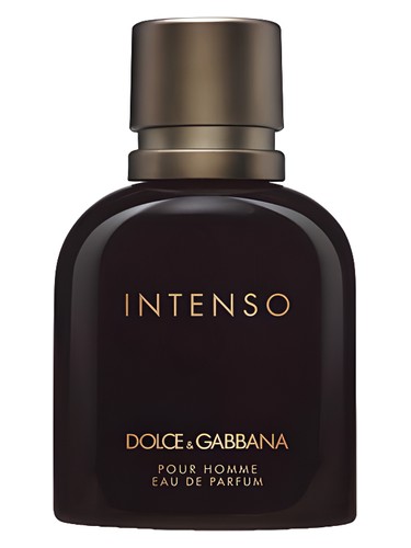 عطر D & G Intenso Pour Homme