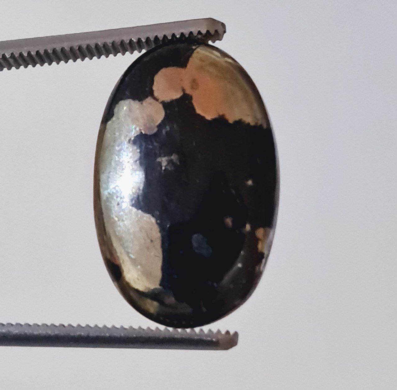 آپاچی گلدستون