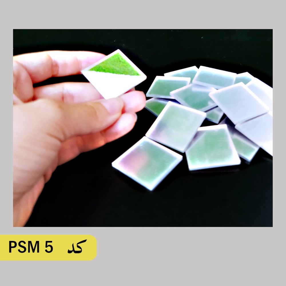 آینه کد PSM 5