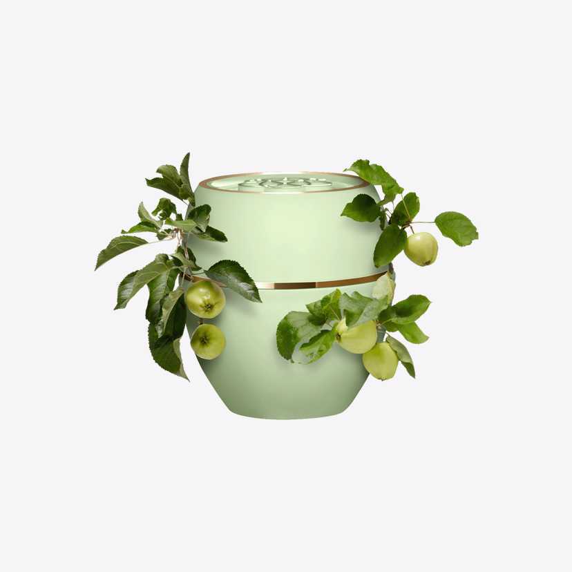 بالم چند منظوره تندرکر سیب سبز اوریفلیم ORIFLAME TENDER CARE Green Apple Multi-purpose Balm