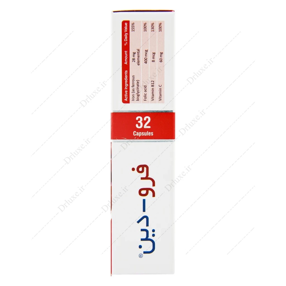 فرودین، کپسول فرودین