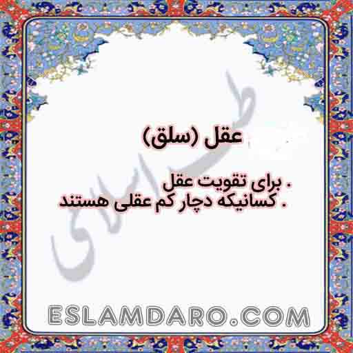 عقل / سلق / باسلیقون
