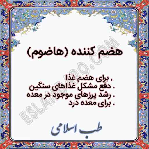 هضم کننده / شالک (هاضوم)