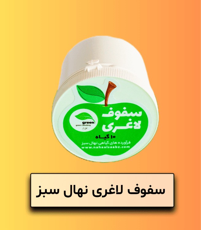 سفوف لاغری نهال سبز