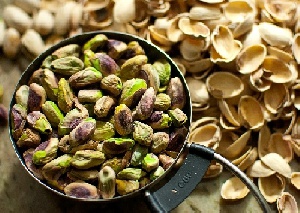 تحقیق – کاشت پسته