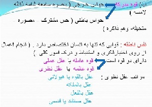 ابن سینا و دیدگاه های روانشناسی ابن سینا