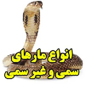 انواع مارهای سمی و غیر سمی