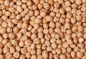 دانلود پاورپوینت نخود