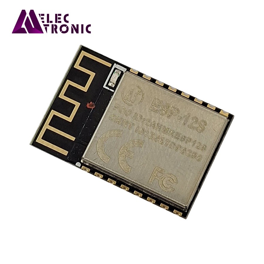 ESp8266-12s