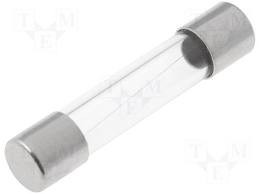 FUSE 6A-250V بزرگ