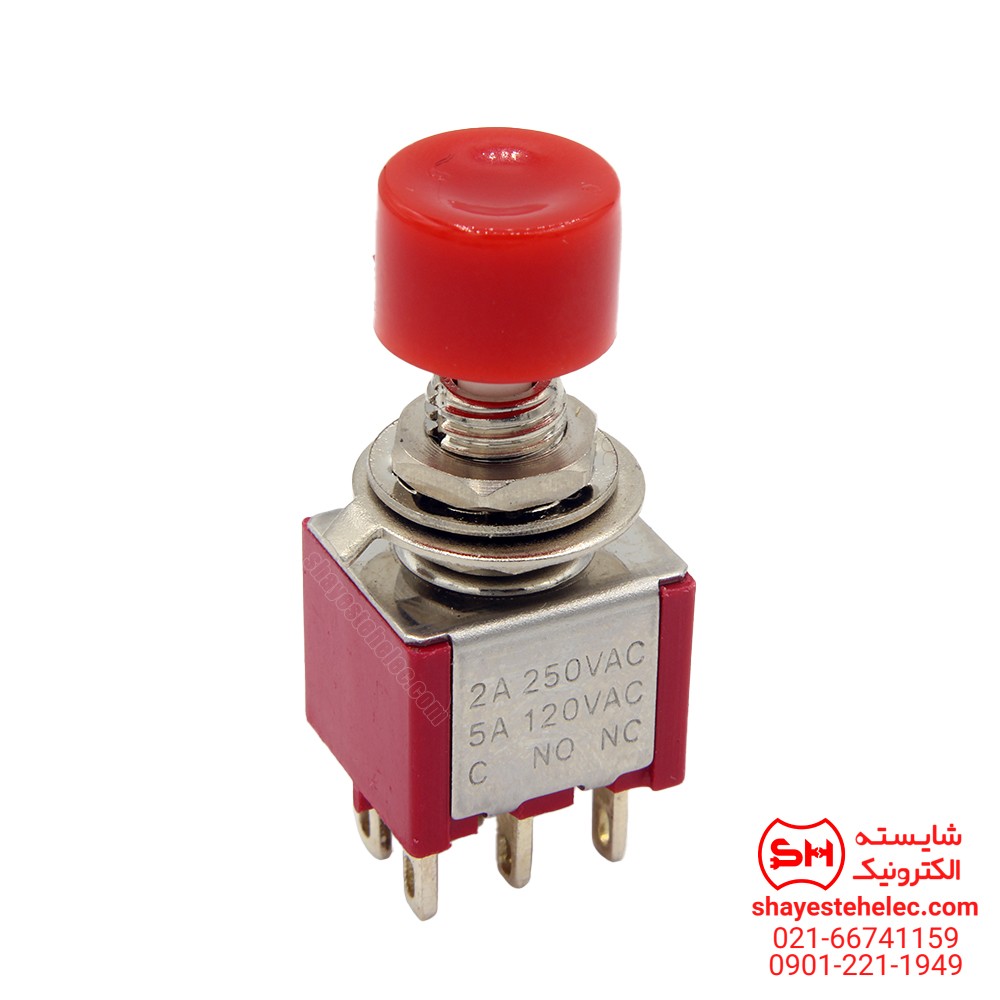 کلیدکلنگی-DS613