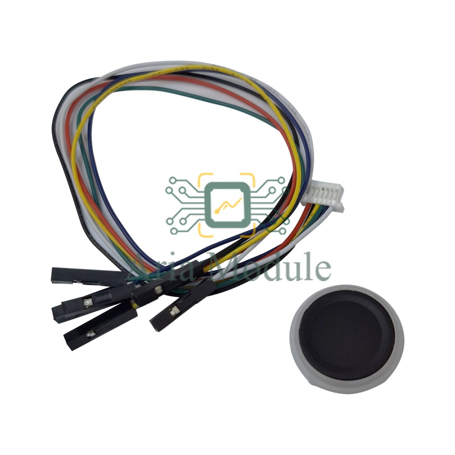 finger print ZW111 set A