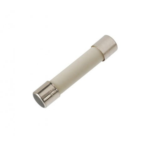 فیوز گچی بزرگ تاخیری T250-1A