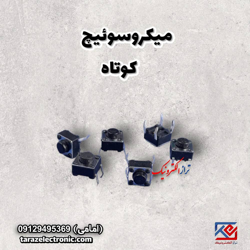 میکروسوئیچ کوتاه