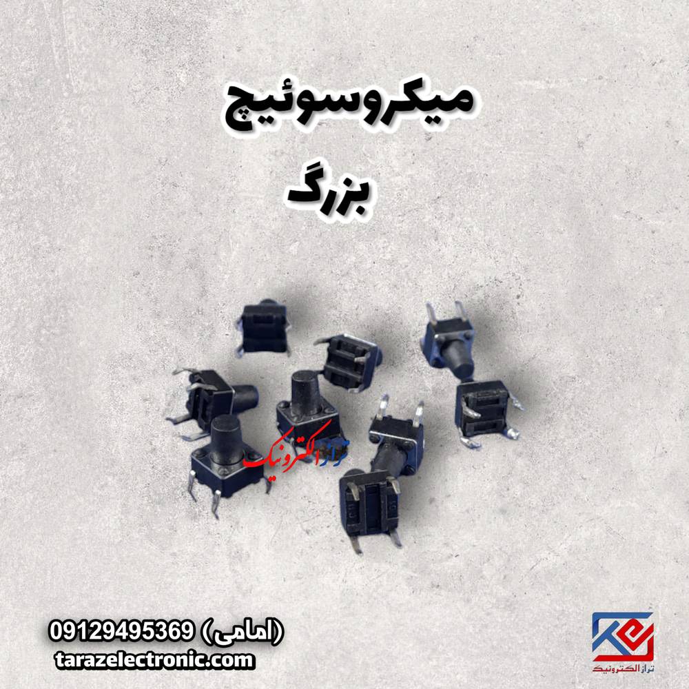 میکروسوئیچ بزرگ