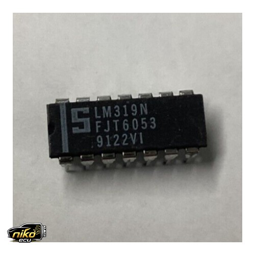 LM319 N117